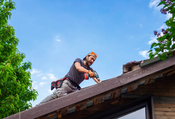 Best Storm Damage Roof Repair  in Dyer, TN